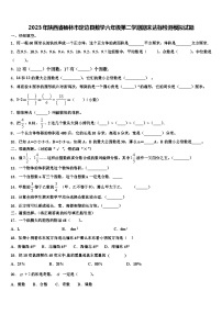 2023年陕西省榆林市定边县数学六年级第二学期期末达标检测模拟试题含解析