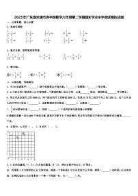 2023年广东省河源市连平县数学六年级第二学期期末学业水平测试模拟试题含解析