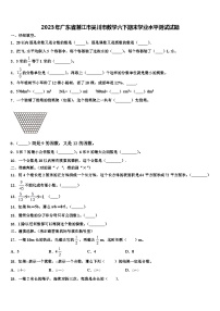 2023年广东省湛江市吴川市数学六下期末学业水平测试试题含解析