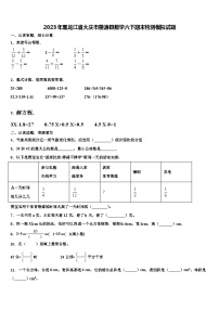 2023年黑龙江省大庆市肇源县数学六下期末检测模拟试题含解析