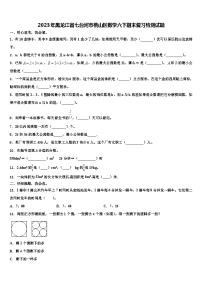 2023年黑龙江省七台河市桃山区数学六下期末复习检测试题含解析