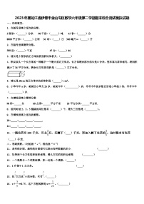 2023年黑龙江省伊春市金山屯区数学六年级第二学期期末综合测试模拟试题含解析