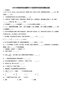 2023年鸡西市鸡东县数学六下期末教学质量检测模拟试题含解析