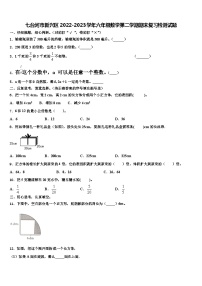 七台河市新兴区2022-2023学年六年级数学第二学期期末复习检测试题含解析