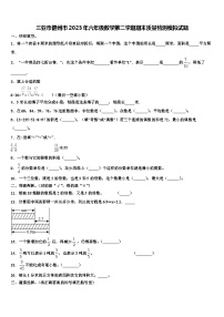 三亚市儋州市2023年六年级数学第二学期期末质量检测模拟试题含解析