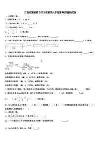 三亚市定安县2023年数学六下期末考试模拟试题含解析