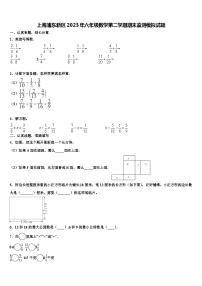 上海浦东新区2023年六年级数学第二学期期末监测模拟试题含解析