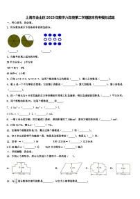 上海市金山区2023年数学六年级第二学期期末统考模拟试题含解析