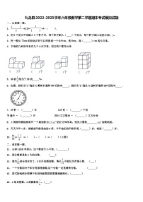 九龙县2022-2023学年六年级数学第二学期期末考试模拟试题含解析