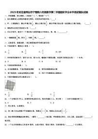 2023年河北省邢台市宁晋县六年级数学第二学期期末学业水平测试模拟试题含解析