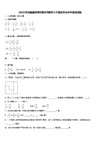 2023年河南省郑州市登封市数学六下期末学业水平测试试题含解析