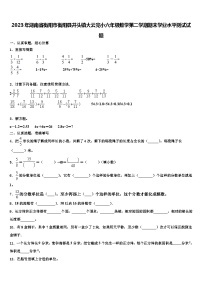 2023年湖南省衡阳市衡阳县井头镇大云完小六年级数学第二学期期末学业水平测试试题含解析