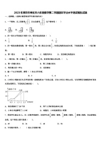 2023年潍坊市寿光市六年级数学第二学期期末学业水平测试模拟试题含解析