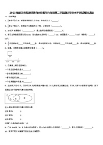 2023年韶关市乳源瑶族自治县数学六年级第二学期期末学业水平测试模拟试题含解析