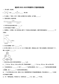 临汾市2022-2023学年数学六下期末检测试题含解析