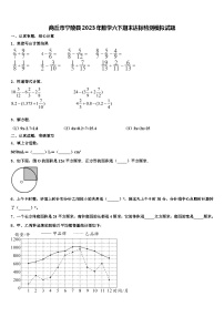 商丘市宁陵县2023年数学六下期末达标检测模拟试题含解析