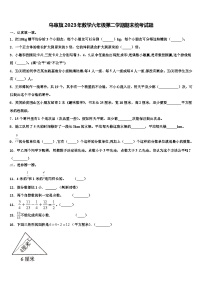 乌审旗2023年数学六年级第二学期期末统考试题含解析