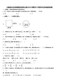 云南省文山壮族苗族自治州文山县2023年数学六下期末学业质量监测试题含解析