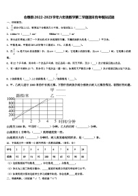 会理县2022-2023学年六年级数学第二学期期末统考模拟试题含解析