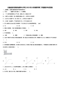 云南省梁河县遮岛镇中心学校2023年六年级数学第二学期期末考试试题含解析