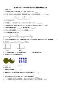 册亨县2022-2023学年数学六下期末经典模拟试题含解析