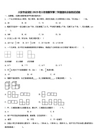 六安市金安区2023年六年级数学第二学期期末达标测试试题含解析