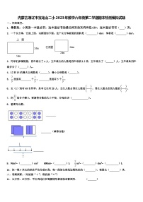 内蒙古通辽市宝龙山二小2023年数学六年级第二学期期末检测模拟试题含解析