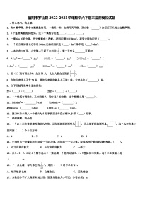 信阳市罗山县2022-2023学年数学六下期末监测模拟试题含解析