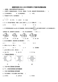 信阳市息县2022-2023学年数学六下期末考试模拟试题含解析