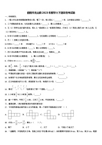 信阳市光山县2023年数学六下期末统考试题含解析