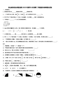 凉山彝族自治州雷波县2023年数学六年级第二学期期末调研模拟试题含解析