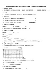 凉山彝族自治州喜德县2023年数学六年级第二学期期末复习检测模拟试题含解析