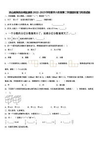 凉山彝族自治州盐源县2022-2023学年数学六年级第二学期期末复习检测试题含解析