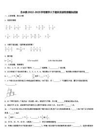 合水县2022-2023学年数学六下期末质量检测模拟试题含解析