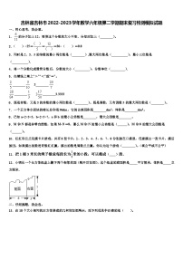 吉林省吉林市2022-2023学年数学六年级第二学期期末复习检测模拟试题含解析