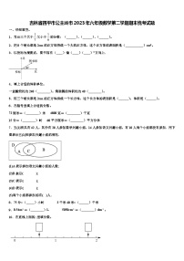 吉林省四平市公主岭市2023年六年级数学第二学期期末统考试题含解析