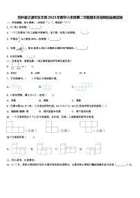 吉林省辽源市东丰县2023年数学六年级第二学期期末质量跟踪监视试题含解析