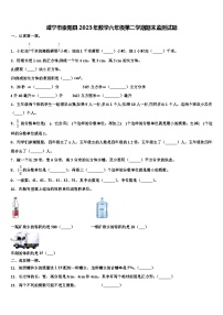 咸宁市崇阳县2023年数学六年级第二学期期末监测试题含解析