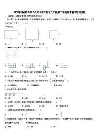 咸宁市通山县2022-2023学年数学六年级第二学期期末复习检测试题含解析