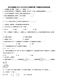 嘉兴市嘉善县2022-2023学年六年级数学第二学期期末达标测试试题含解析