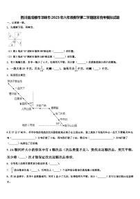 四川省成都市邛崃市2023年六年级数学第二学期期末统考模拟试题含解析