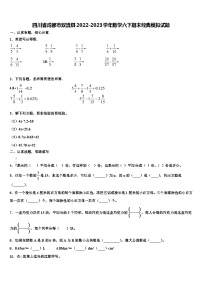 四川省成都市双流县2022-2023学年数学六下期末经典模拟试题含解析