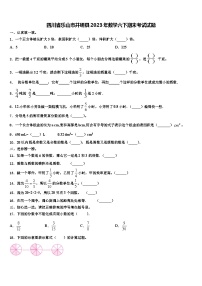 四川省乐山市井研县2023年数学六下期末考试试题含解析