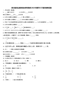 四川省凉山彝族自治州布拖县2023年数学六下期末调研试题含解析