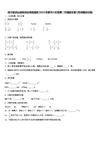 四川省凉山彝族自治州喜德县2023年数学六年级第二学期期末复习检测模拟试题含解析