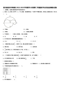 四川省宜宾市翠屏区2022-2023学年数学六年级第二学期期末学业质量监测模拟试题含解析