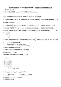 城步苗族自治县2023年数学六年级第二学期期末达标检测模拟试题含解析