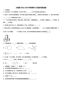 大荔县2022-2023学年数学六下期末检测试题含解析