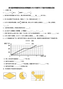 四川省阿坝藏族羌族自治州壤塘县2023年数学六下期末检测模拟试题含解析