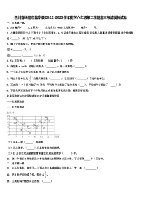 四川省绵阳市盐亭县2022-2023学年数学六年级第二学期期末考试模拟试题含解析